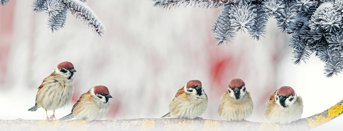 Praktiker webshop - online barkácsáruház