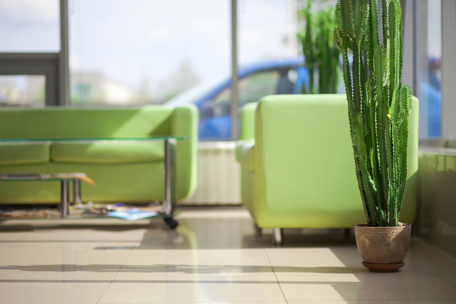 Újra divat: dekoráljunk kaktuszokkal!