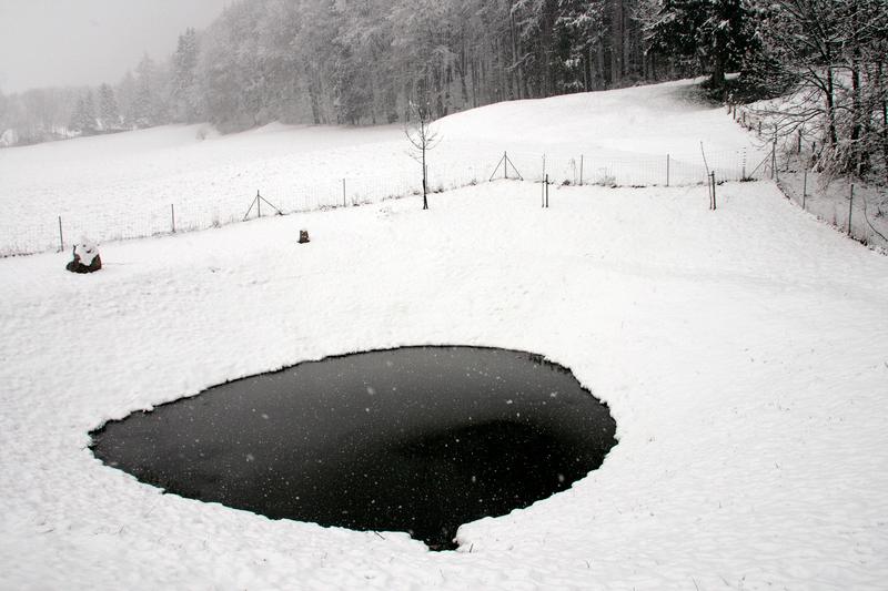 Kerti tó télen – szakszerű téliesítés a fagy elkerüléséért