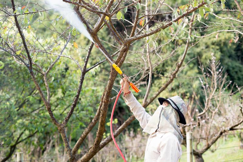 A helyes lemosó permetezés szabályai
