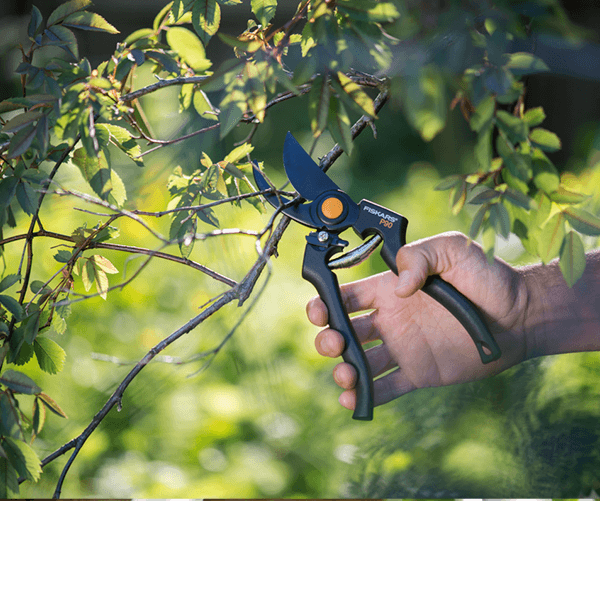 Metszőolló, ágvágó - az egészségesebb növekedésért