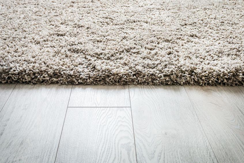 Shaggy szőnyeg - a hosszú szálú szőnyeg