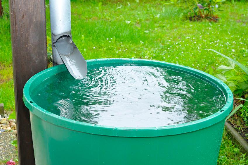 Esővízgyűjtés a kertben – Tippek és tanácsok