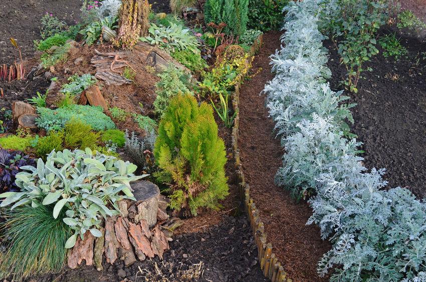 Ötletek az ágyásszegély kialakításához