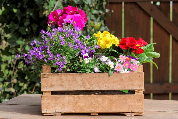 Virágláda készítése teraszra, balkonra, kertbe – Praktiker ötletek