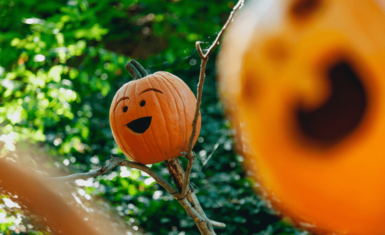 Októberi teendők a kertben