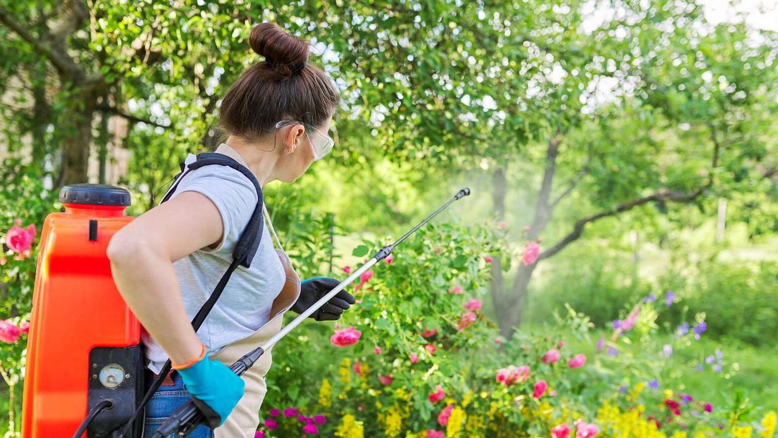 Bio növényvédő szerek: növényvédelmi tippek kártevők, betegségek ellen