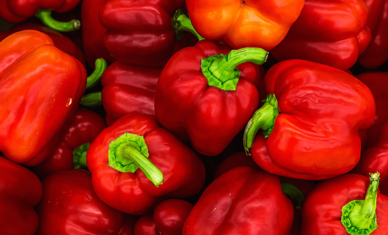 A paprikamag ültetése és csíráztatása