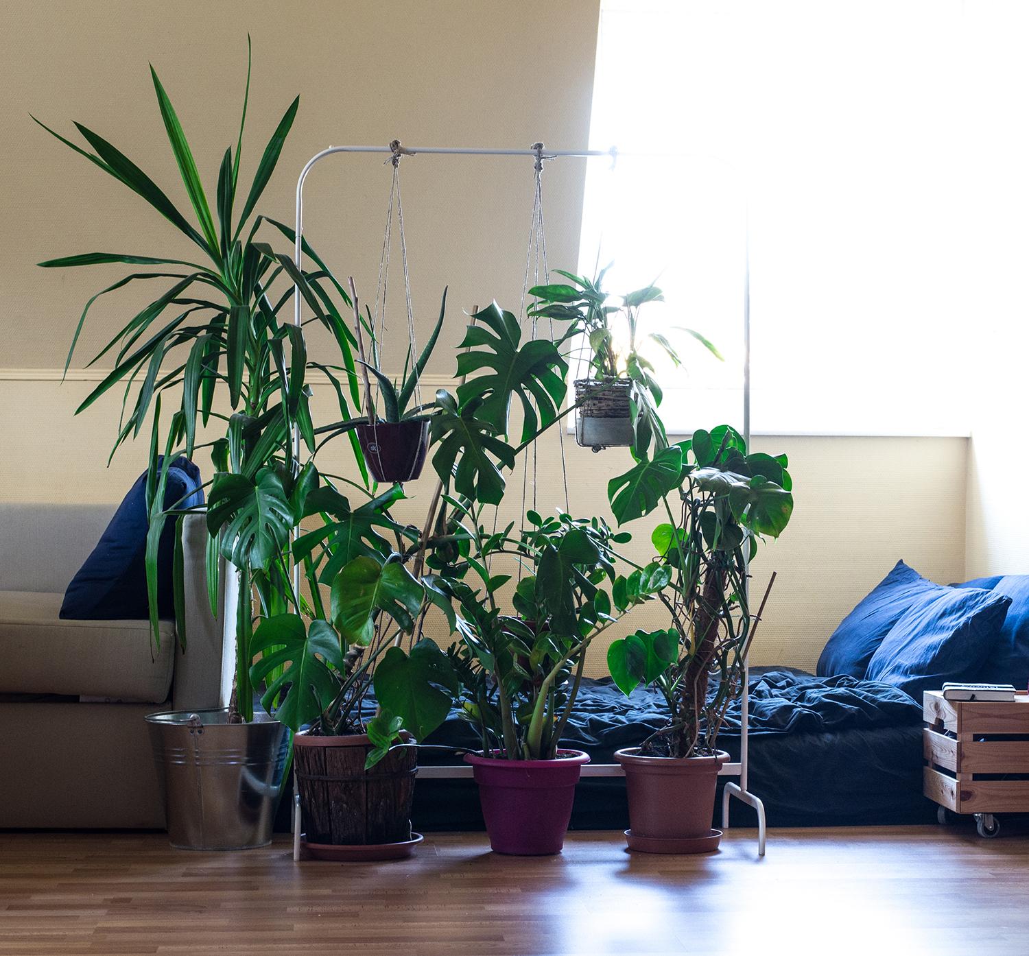 Nem lehetetlen: virágtartó és térelválasztó egyszerre