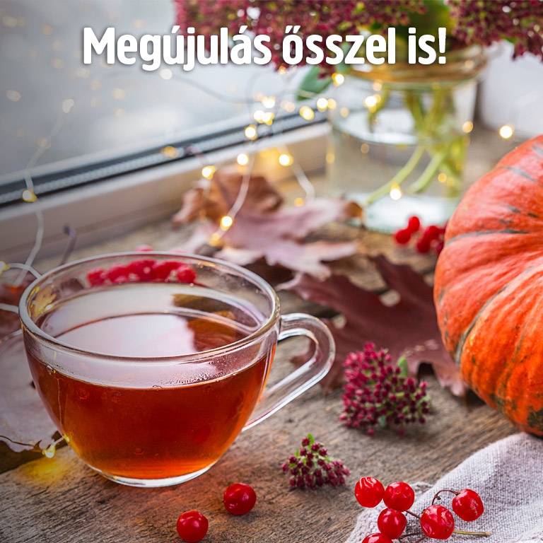 Praktiker webshop - online barkácsáruház