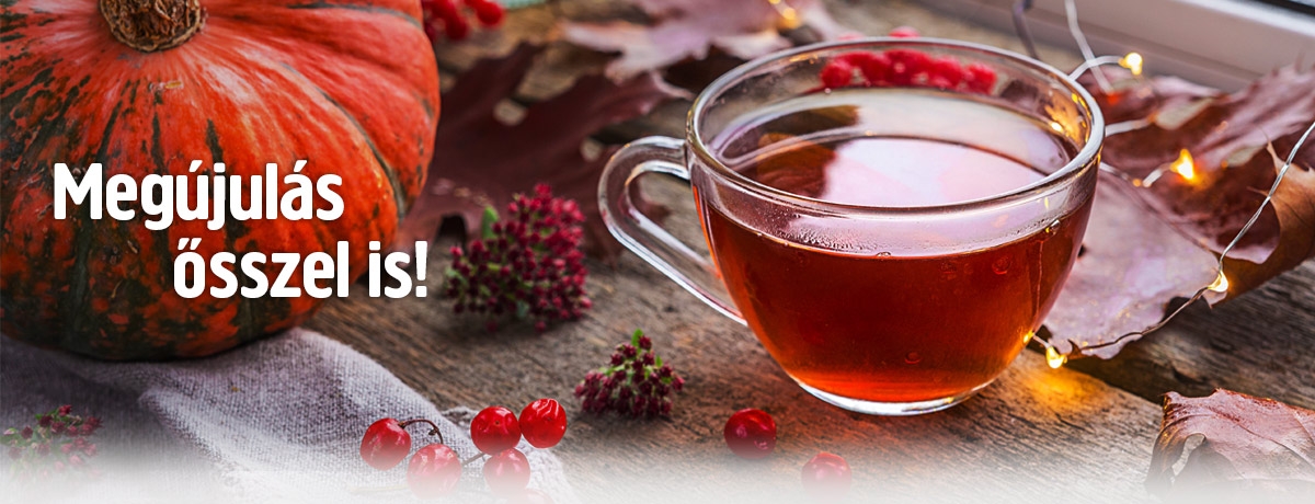 Praktiker webshop - online barkácsáruház