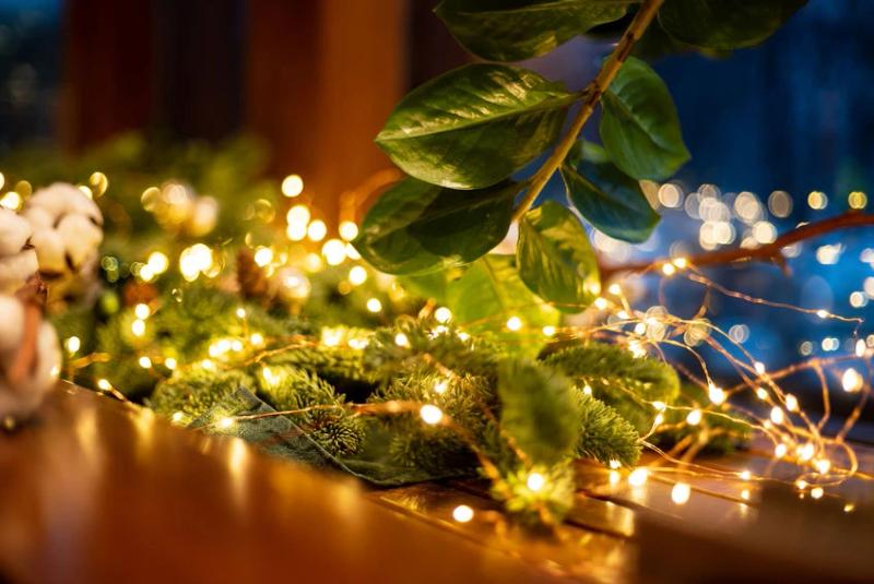 Milyen veszélyekre figyeljünk karácsonykor?
