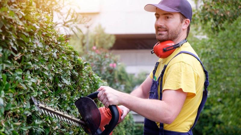 Mit válasszak: kézi, benzines vagy elektromos bokorvágó a jobb?