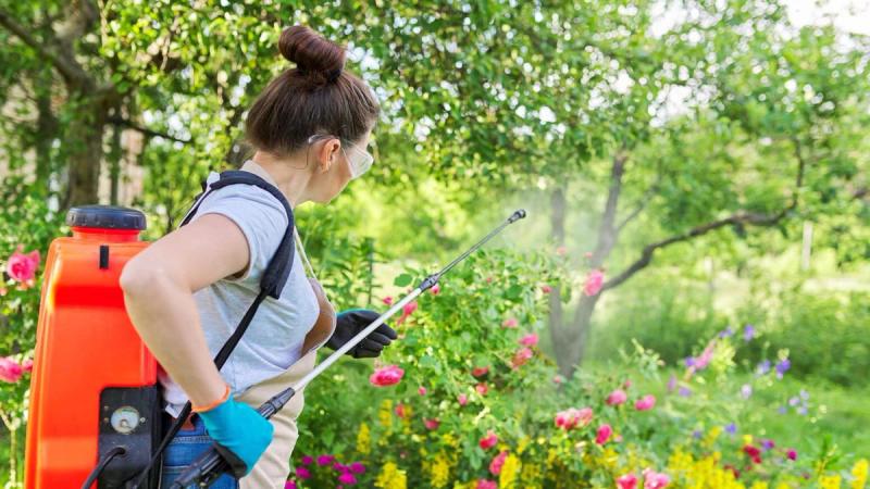 Bio növényvédő szerek: növényvédelmi tippek kártevők, betegségek ellen