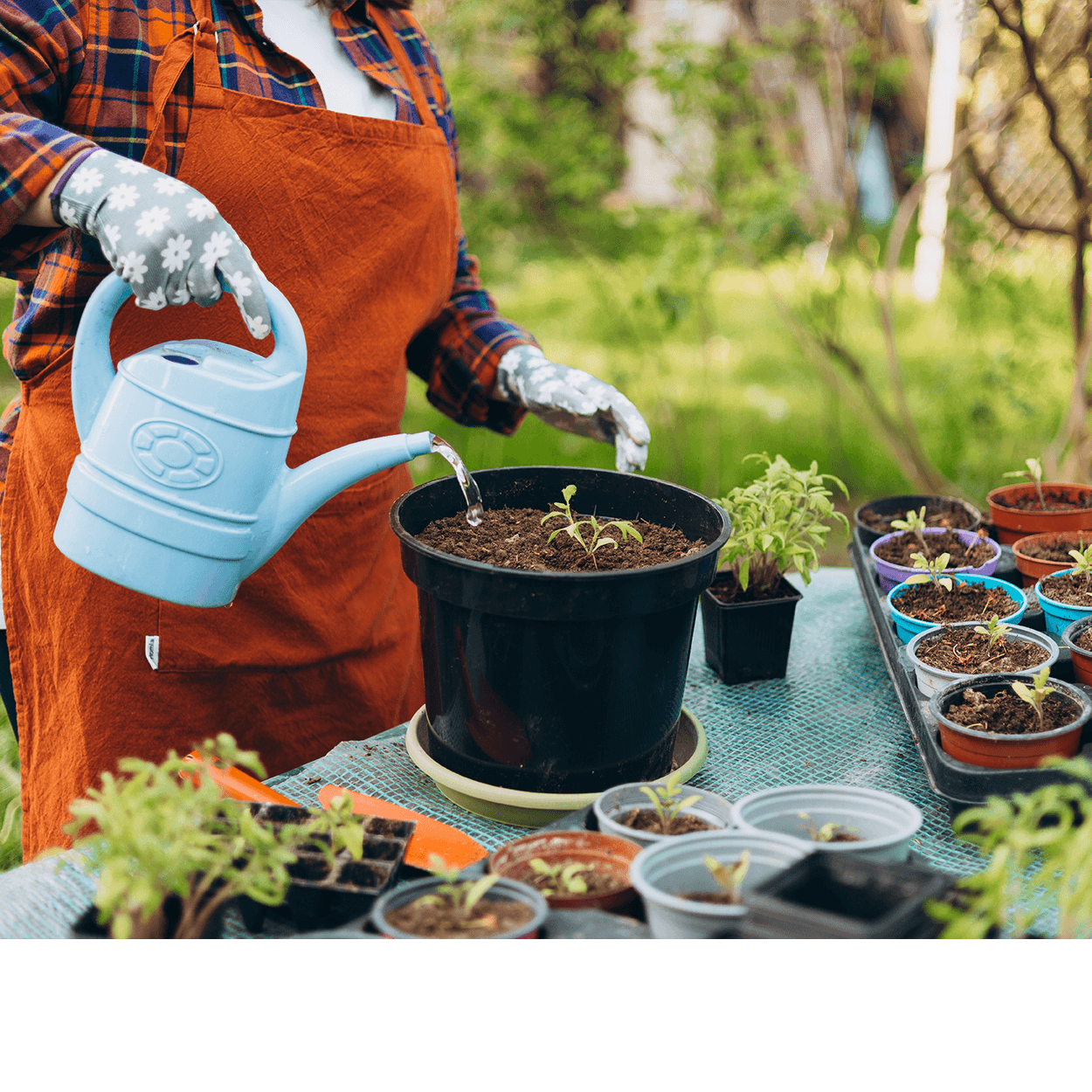 Átfogó kerti kínálat több mint 4700 termékkel