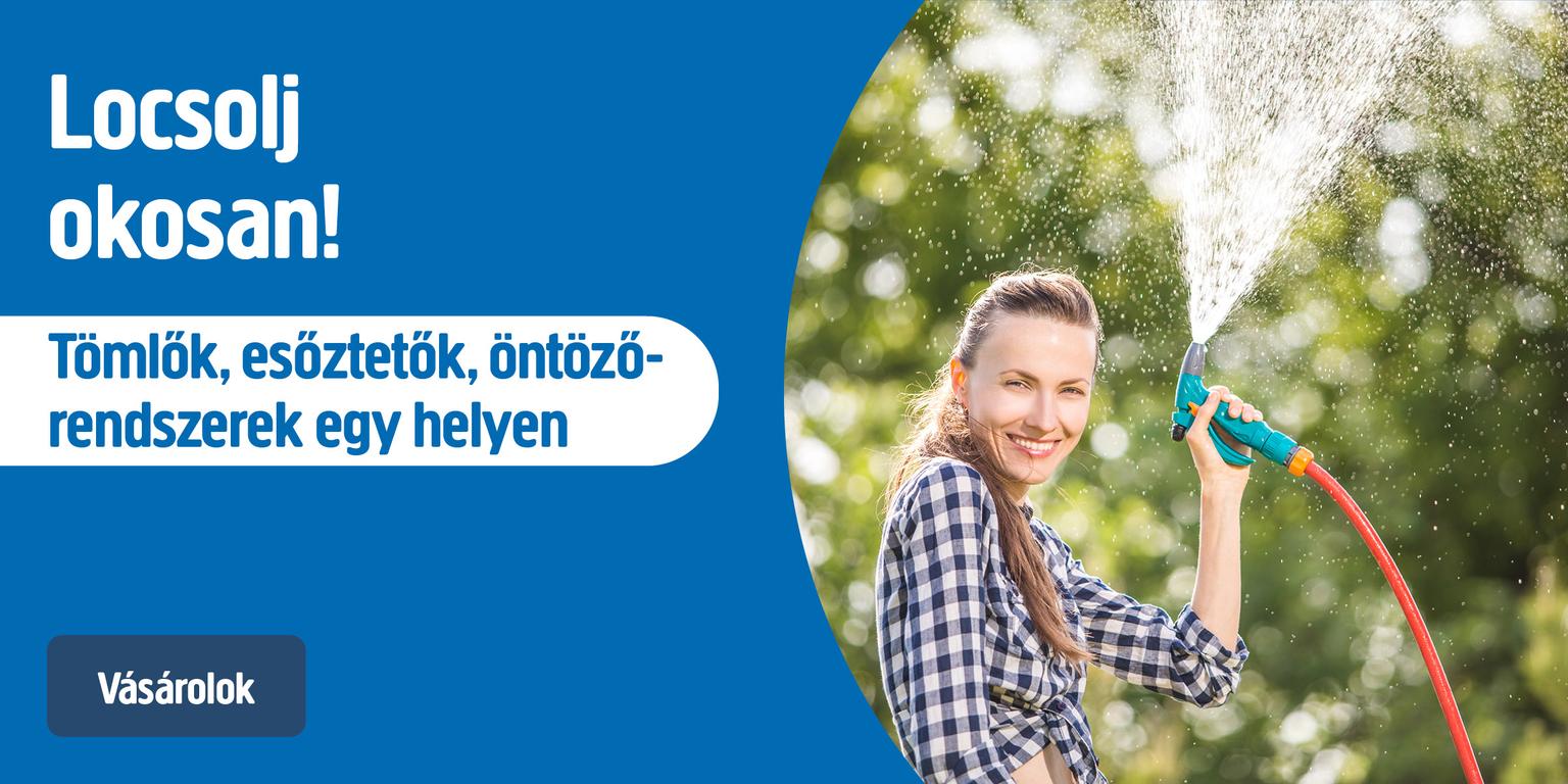 kép