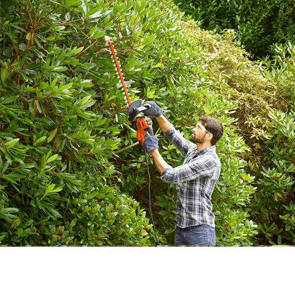 Sövényvágó - az ápolt megjelenésért