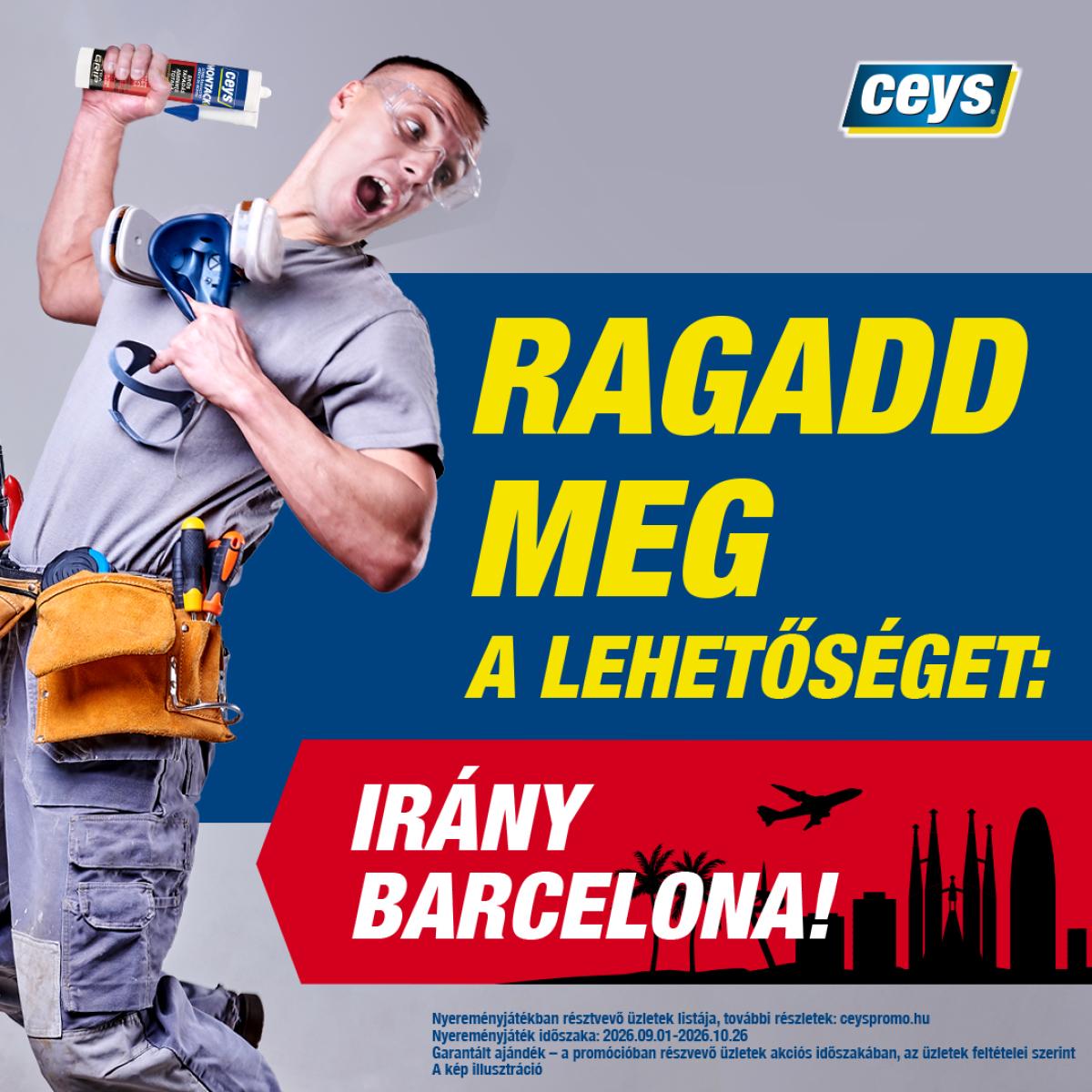 kép