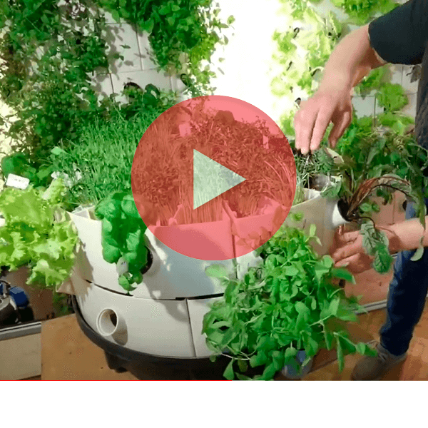 Hidropónikus torony bővítése új szinttel