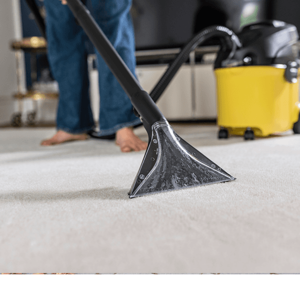 SE 5 szőnyeg- és kárpittisztító