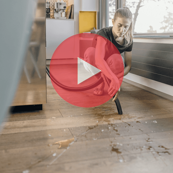 WD 3 Premium akkus száraz-nedves porszívó - 1000W