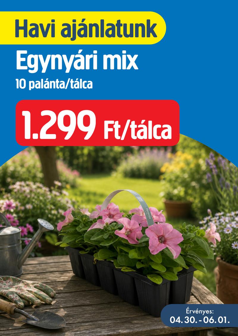 Havi ajánlatunk