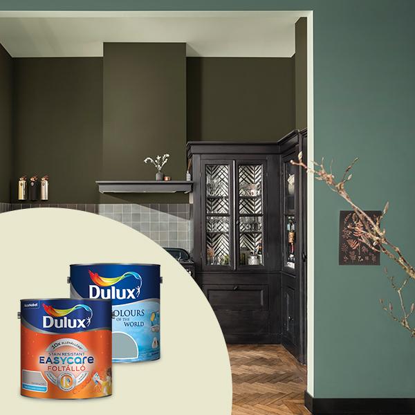 Akzo Nobel - Dulux