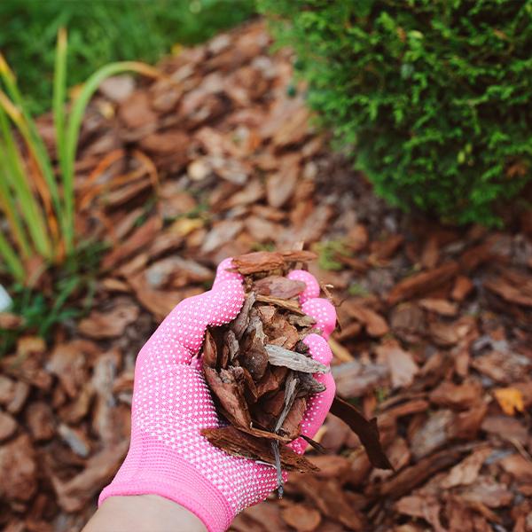 Mulch, trágya, virágföld