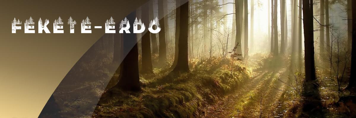 Fekete-erdő kollekció