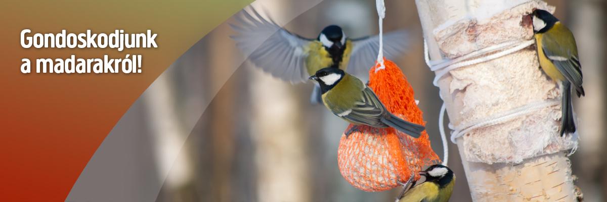 Gondoskodjunk a madarakról