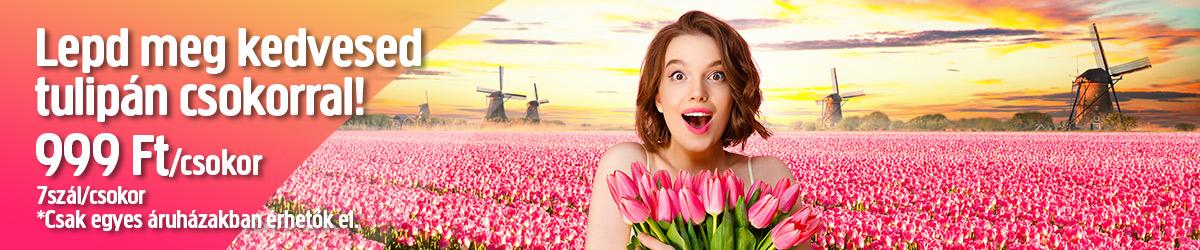 Lepd meg kedvesed tulipán csokorral