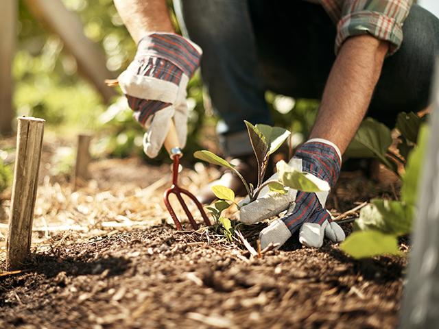 Kerti kiegészítők