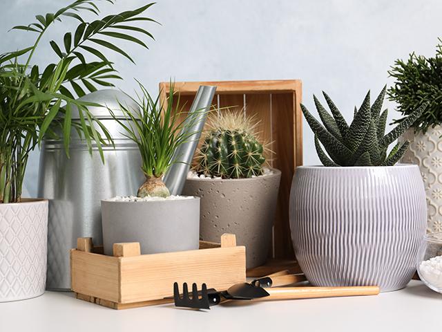 Kaspók és növénytartók