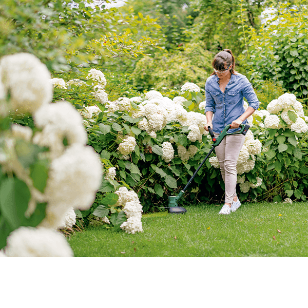 Fűszegélyvágó - ideális zajérzékeny környezetbe