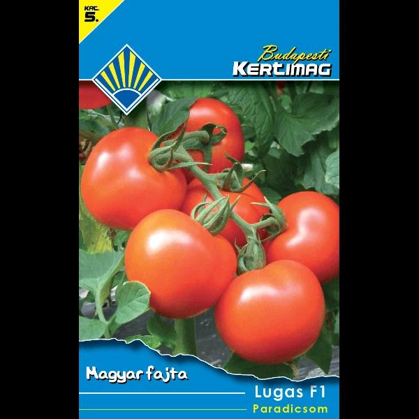 Növény, mag, hagyma