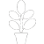 Növény piktogram információk
