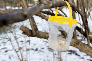 Csináld magad: újrahasznosított madáretetők